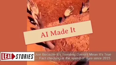 Video Tangan di Tanah Itu Ternyata Bukan Sudan, Jejak AI yang Terbongkar