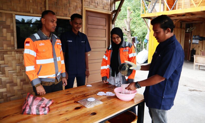 Limbah Kelapa Pantai Lampuuk Jadi Pakan Ternak, Biaya Peternak Turun 60 Persen