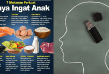 5 Kebiasaan Sederhana yang Diam-diam Membentuk Otak Cerdas Orang Jepang