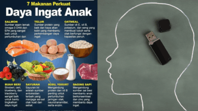 5 Kebiasaan Sederhana yang Diam-diam Membentuk Otak Cerdas Orang Jepang