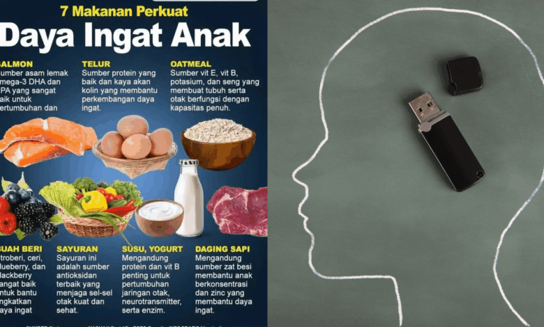 5 Kebiasaan Sederhana yang Diam-diam Membentuk Otak Cerdas Orang Jepang