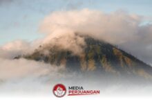 BMKG Peringatkan Cuaca Ekstrem di Jatim, Hujan dan Angin Kencang Masih Mengintai