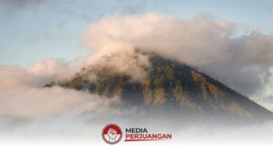 BMKG Peringatkan Cuaca Ekstrem di Jatim, Hujan dan Angin Kencang Masih Mengintai