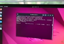 Linux Subleq+ Coba Bertahan 1.000 Tahun, Cuma Pakai Satu Instruksi