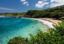 7 Prompt Gemini AI Bawa Suasana Liburan Maui, Hasilnya Terlihat Natural