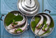 8 Ikan Air Tawar untuk Stok Protein Rumah, Mudah Dirawat dan Cepat Dipanen