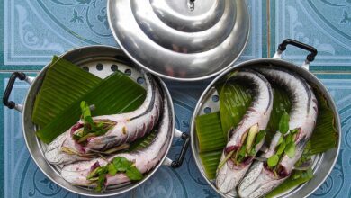 8 Ikan Air Tawar untuk Stok Protein Rumah, Mudah Dirawat dan Cepat Dipanen