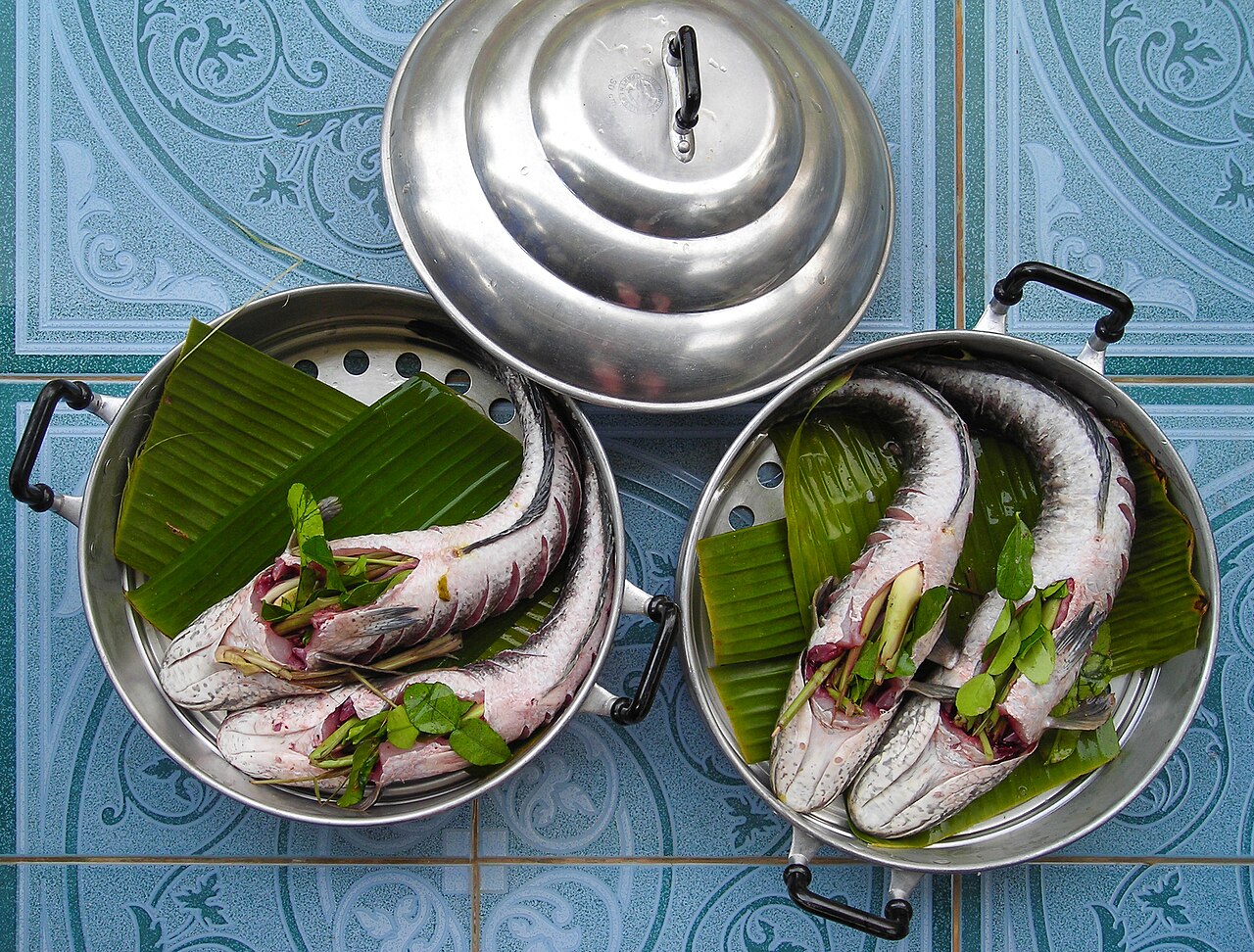 8 Ikan Air Tawar untuk Stok Protein Rumah, Mudah Dirawat dan Cepat Dipanen