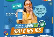 4 Cara Cek PBI JK Online, Status Bantuan Anda Bisa Langsung Ketahuan