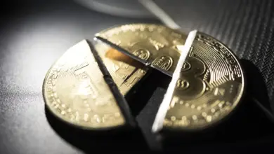 Crypto Terkapar Setengah Nilai, Triliunan Dolar Menguap dalam 261 Hari