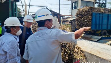 PG Assembagoes Tembus 5.500 TCD, SGN Kirim Sinyal Kuat ke Target Swasembada Gula