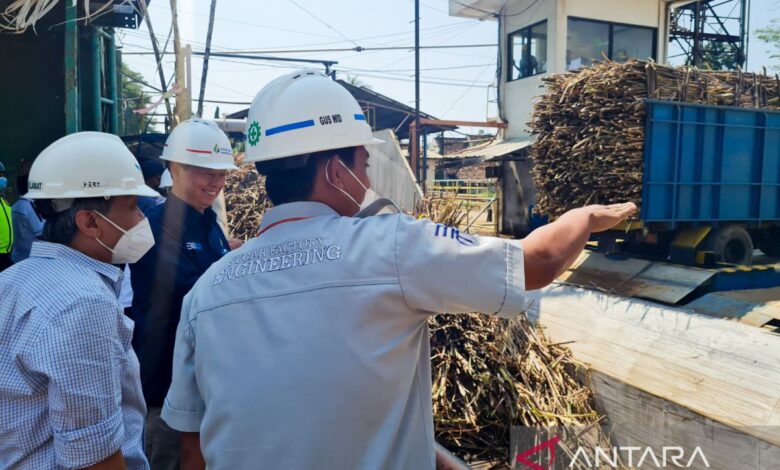 PG Assembagoes Tembus 5.500 TCD, SGN Kirim Sinyal Kuat ke Target Swasembada Gula