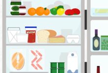 7 Makanan yang Paling Cepat Basi, Simpan Begini Agar Tidak Cepat Terbuang