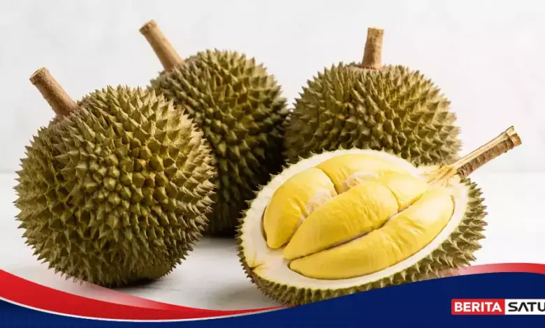 Durian Ternyata Lahir dari Hutan Kalimantan, Ini Manfaatnya Bagi Tubuh