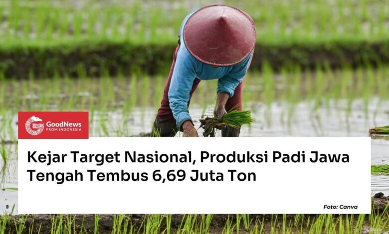 Produksi Padi Jawa Tengah Tembus 6,69 Juta Ton, Ancaman Kemarau Mulai Menguji