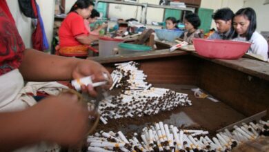 Kenaikan Cukai Tembakau Picu Alarm PHK, IHT Diperingatkan Efek Domino