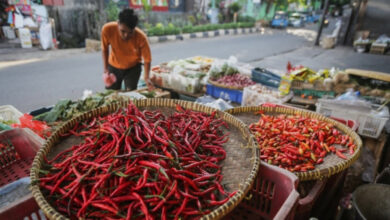 Harga Sembako Jawa Timur Akhir Juni 2026, Cabai dan Minyak Masih Menekan Dompet