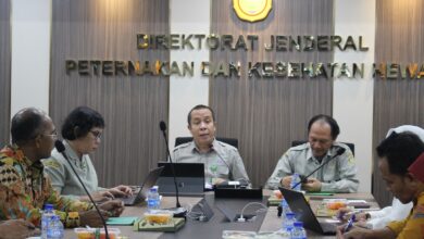 Data Unggas Diseragamkan, Kementan Bergerak Cegah Harga Peternak Makin Tertekan