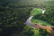 SEEAA Fund II Bidik Startup Energi Bersih Asia, Langkah Besar Saat Pendanaan Awal Masih Seret