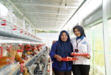 PNM Raih Most Trusted Companies, Kepatuhan GCG Jadi Ujian Nyata
