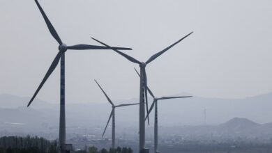 China Pamer Energi Bersih Murah di CISCE, Dunia Makin Bergantung pada Rantai Pasoknya