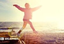 15 Menit Berjemur Pagi Bisa Bawa Banyak Manfaat, dari Vitamin D hingga Tidur