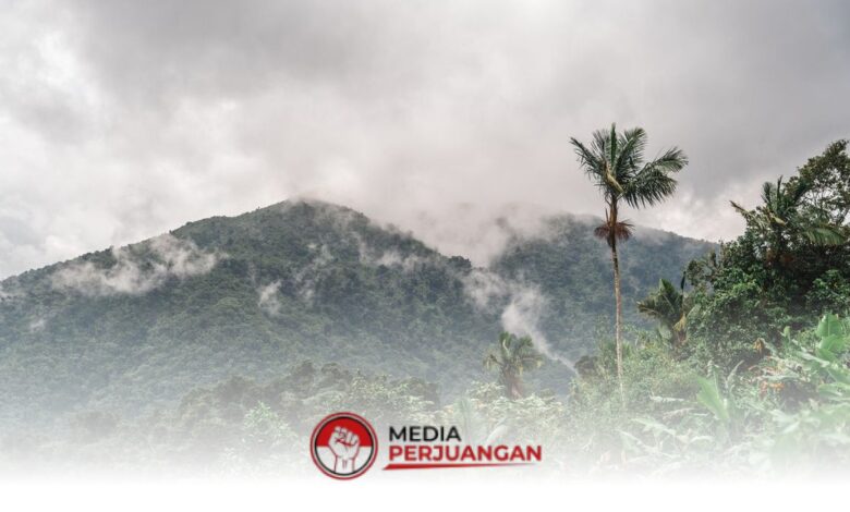 Langit Jatim Didominasi Cerah Berawan, Pesisir dan Pegunungan Tetap Perlu Waspada