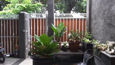 8 Inspirasi Taman Mini dan Kolam Ikan, Sudut Rumah Langsung Terasa Lebih Tenang