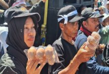 DPRD Jatim Siapkan 5 Langkah Redam Telur Anjlok, Dari HAP hingga Serapan MBG
