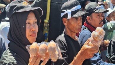DPRD Jatim Siapkan 5 Langkah Redam Telur Anjlok, Dari HAP hingga Serapan MBG