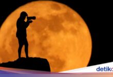 Strawberry Moon Muncul Pagi Hari, Ini Waktu Terbaik Melihatnya di Indonesia