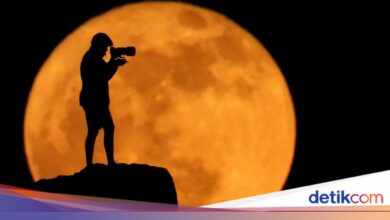 Strawberry Moon Muncul Pagi Hari, Ini Waktu Terbaik Melihatnya di Indonesia