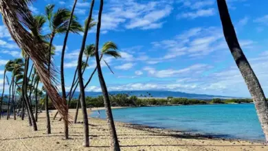5 Prompt Gemini AI di Tepi Pantai, Hasilnya Natural dan Terasa Mahal